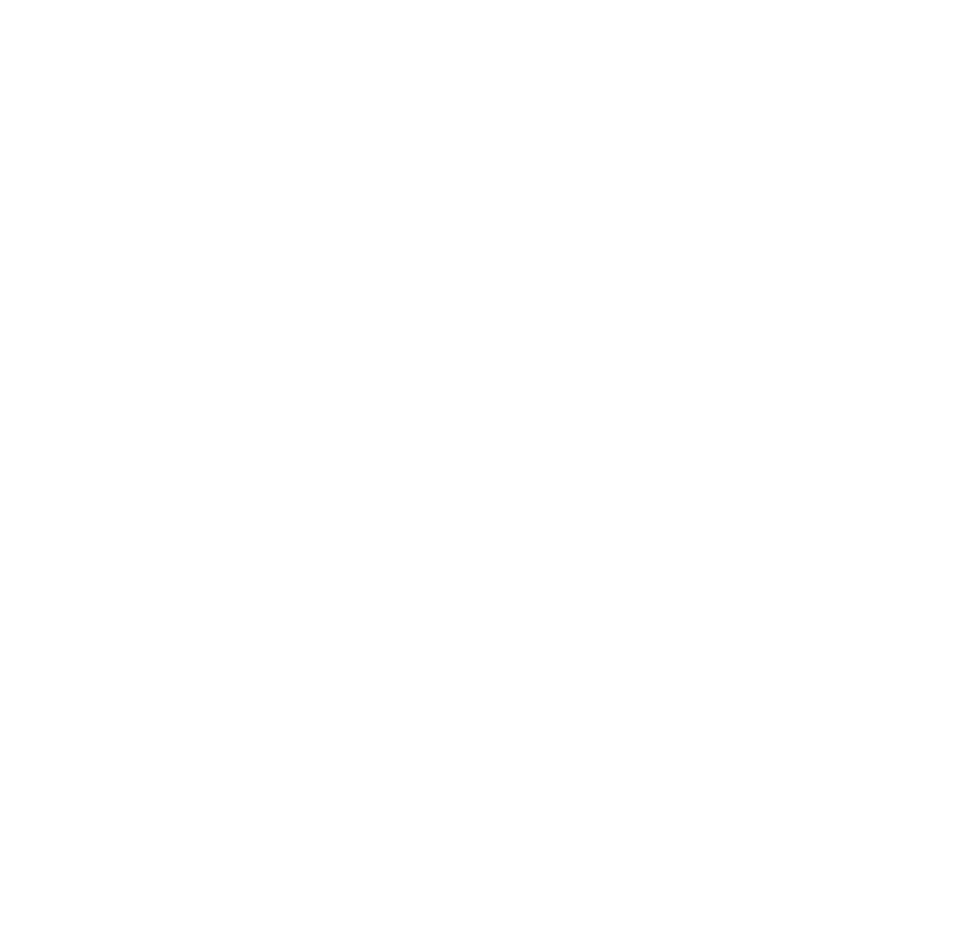 Parking Lot Pirates logo